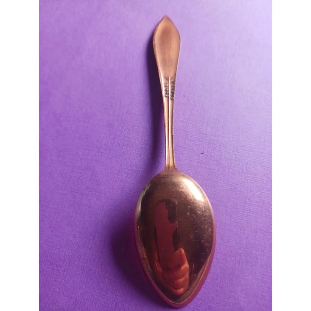 Vintage Michigan Souvenir Spoon Solid Copper E Pluribus Unum